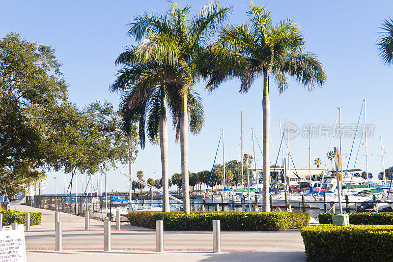 佛罗里达州圣彼得堡码头的码头