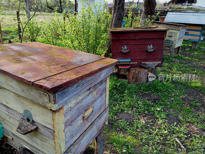 街上的花园里有一个养蜂场，里面有木制的旧蜂箱。春天里几个老旧的木制蜂箱里有蜜蜂。关于养蜂和照顾蜜蜂的话题。