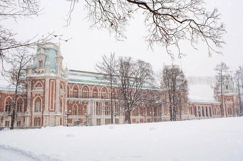 在冬季降雪期间，这座城市的博物馆保护区。莫斯科的名片。大皇宫。俄罗斯旅游。