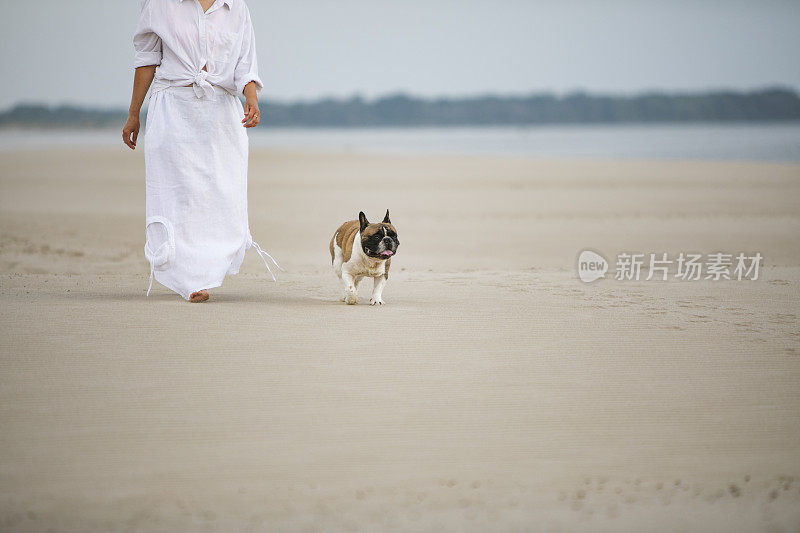 年轻的成年女子和她的法国斗牛犬在海滩上散步