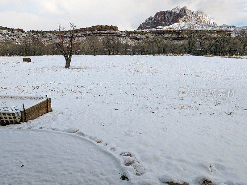 在犹他州洛克维尔的格拉夫顿路上，冬天的花园盒子和被雪覆盖的牧场，背景是锡安国家公园