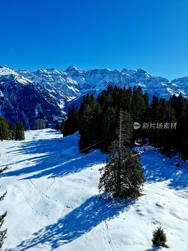 滑雪胜地布劳恩瓦尔德