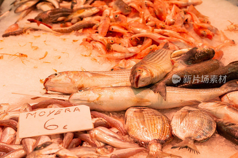 西班牙瓦伦西亚中央市场鱼市场的Mollera鱼