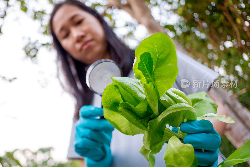 手持绿叶植物的女园丁。