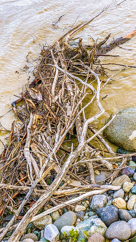 铜河——阿拉斯加内陆
