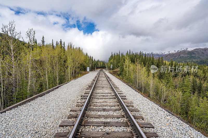 美国阿拉斯加州德纳里国家公园的铁轨穿过美丽的高山景色