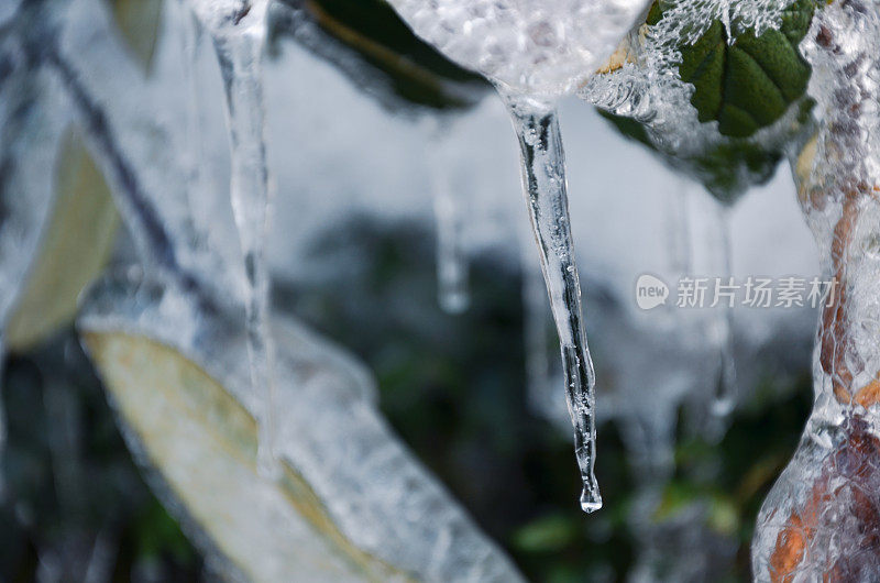 暴风雪是指大量降雪的风暴