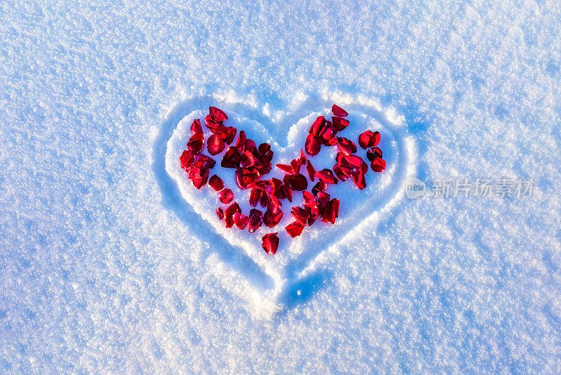 美丽的红玫瑰，红色的花瓣在雪地上画着一颗心。爱的概念。情人节概念，特写。副本的空间。