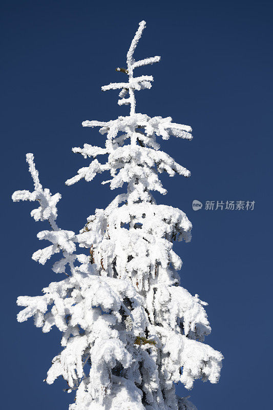 从滑雪坡在Kvitfjell高山滑雪胜地在挪威