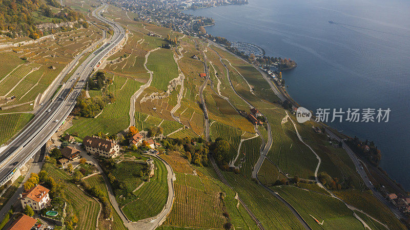 无人机鸟瞰瑞士沃威附近日内瓦湖著名的拉沃葡萄园。俯瞰日内瓦湖、瑞士和法国阿尔卑斯山、沃威和瑞士城市风光