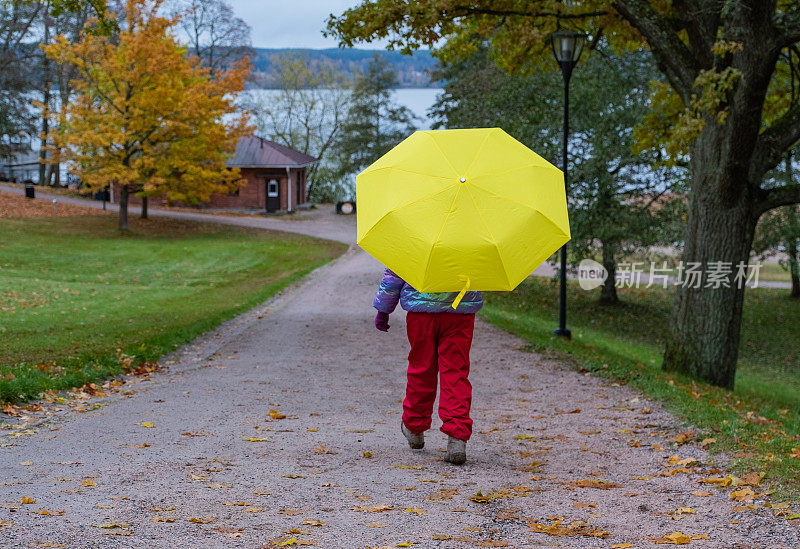 一个7岁的白人女孩打着明黄色的雨伞，走在秋天的公园小路上。从后面看。