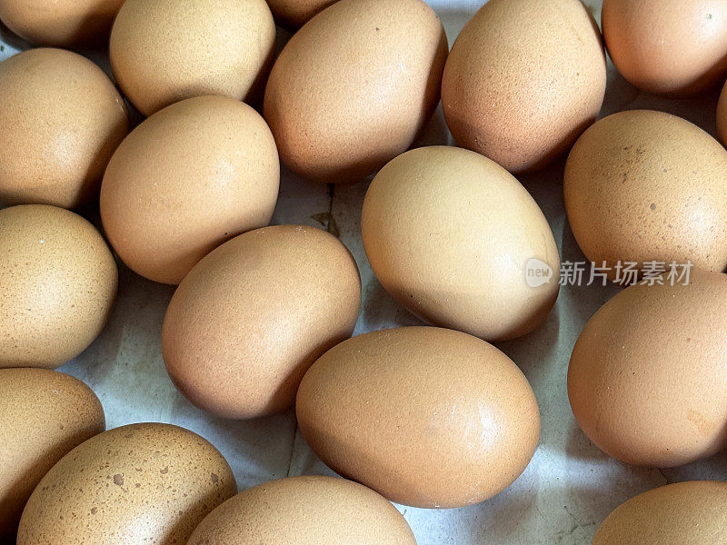 一批有机鸡蛋的全画幅图像，脏的棕色蛋壳鸡蛋，白色背景，高架视图