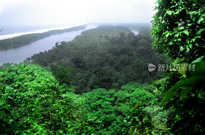 Tortuguero、哥斯达黎加