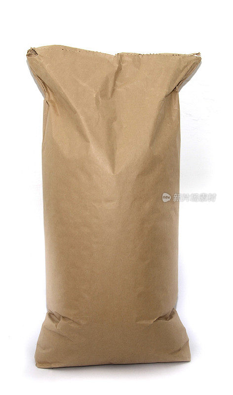 空白的棕色工艺纸袋孤立在白色背景