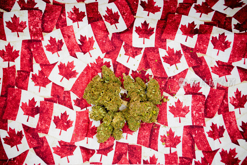 加拿大大麻