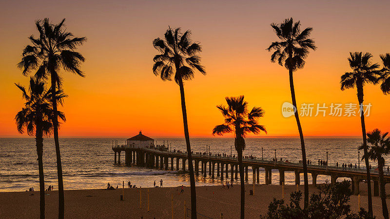加州曼哈顿海滩上的棕榈树在橙色日落