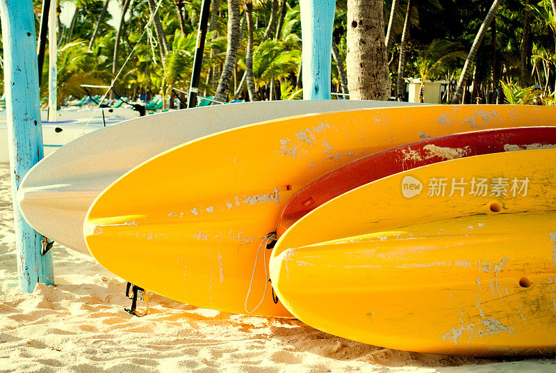 海滩上的桨板