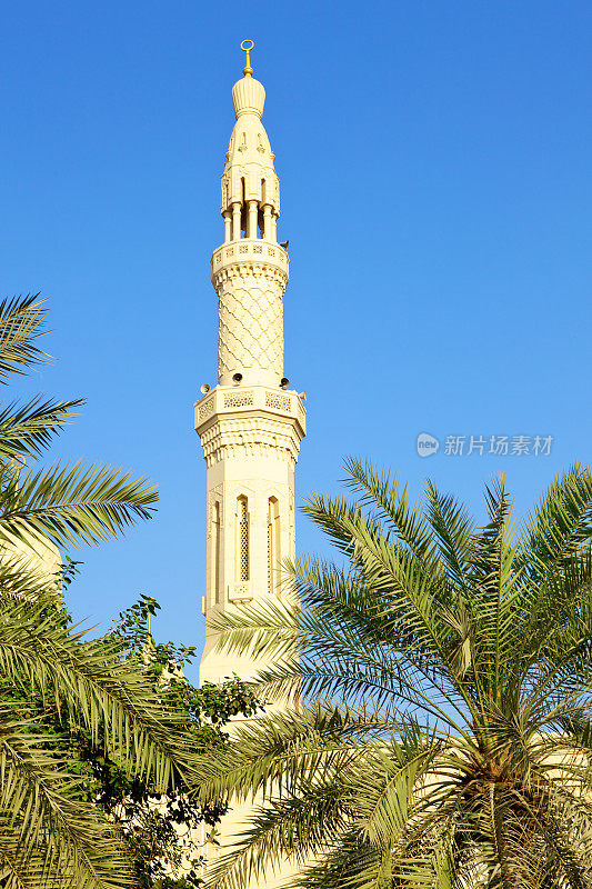 迪拜——尖塔和椰枣树