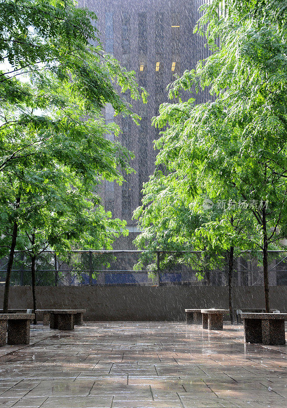 多雨的城市公园