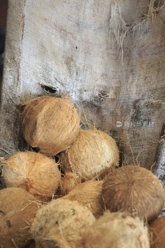 热带市场上展出的椰子