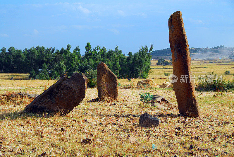 Menhir和石柱，古迪特石柱场，埃塞俄比亚