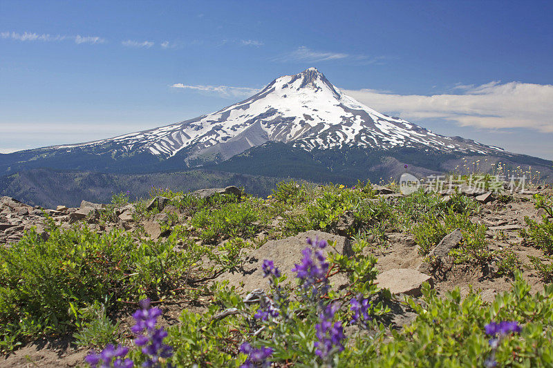 胡德山，瞭望山