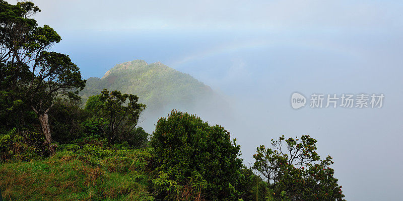 考艾岛(夏威夷群岛)，卡拉劳山谷俯瞰