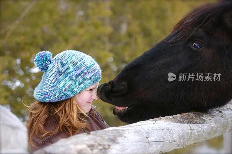 马亲吻女孩