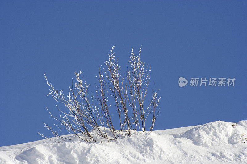 蓝天下的新雪