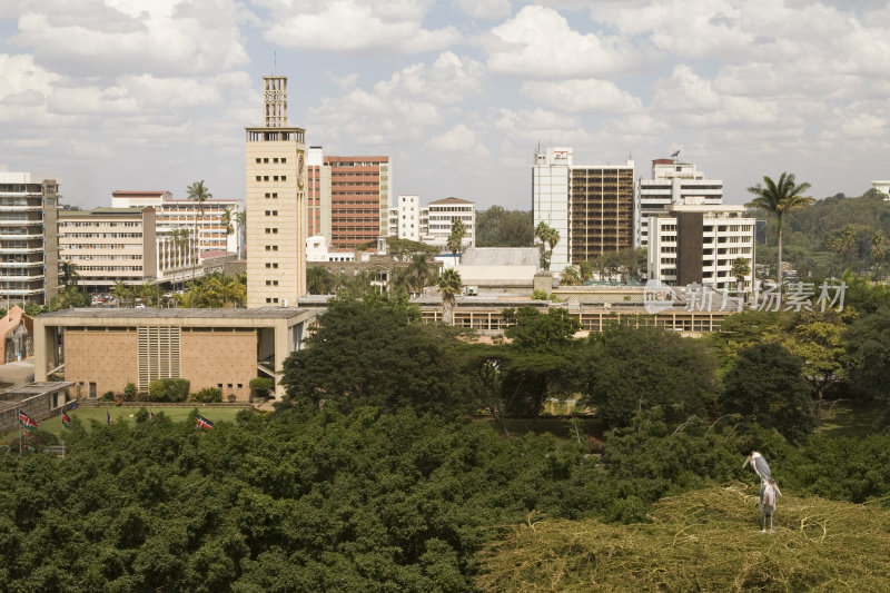 内罗毕城市鸟瞰图
