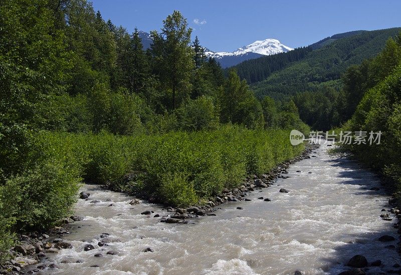 贝克山的冰川溪