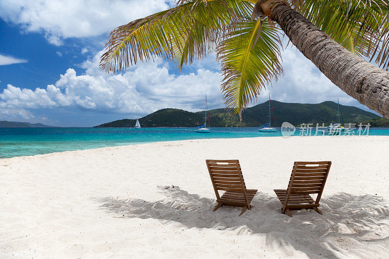 加勒比海滩棕榈树下的两把椅子