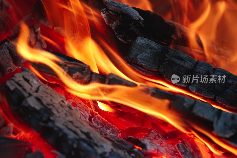 燃烧着的木头和生动的火