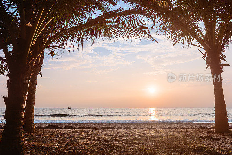 日落在空旷的热带海滩椰子树