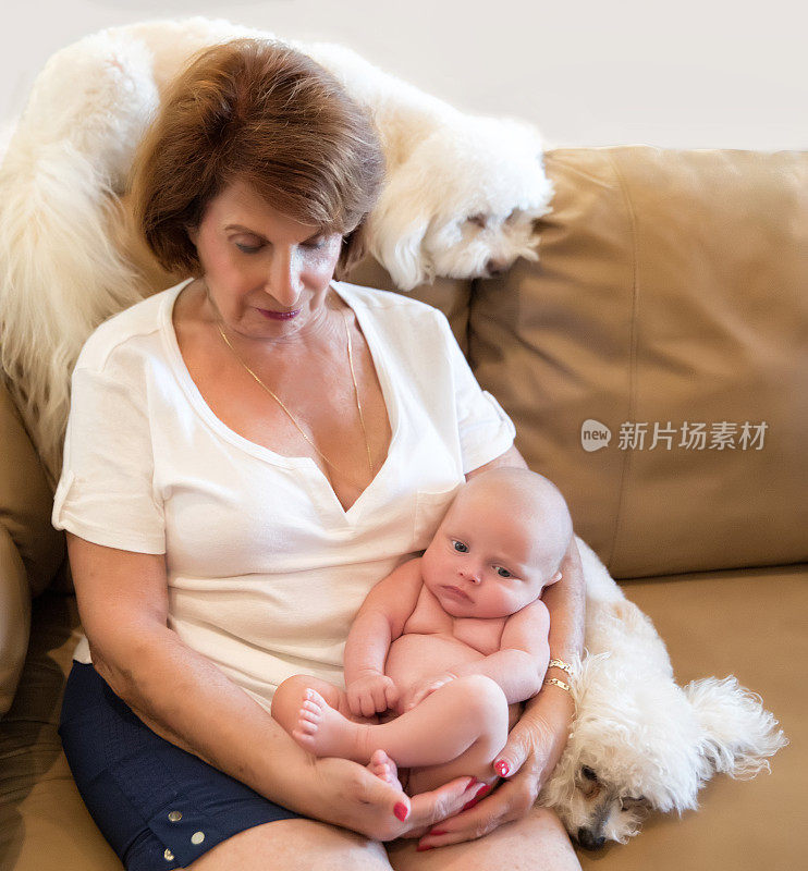 系列:骄傲的祖母抱着6周大的裸孙子和狗