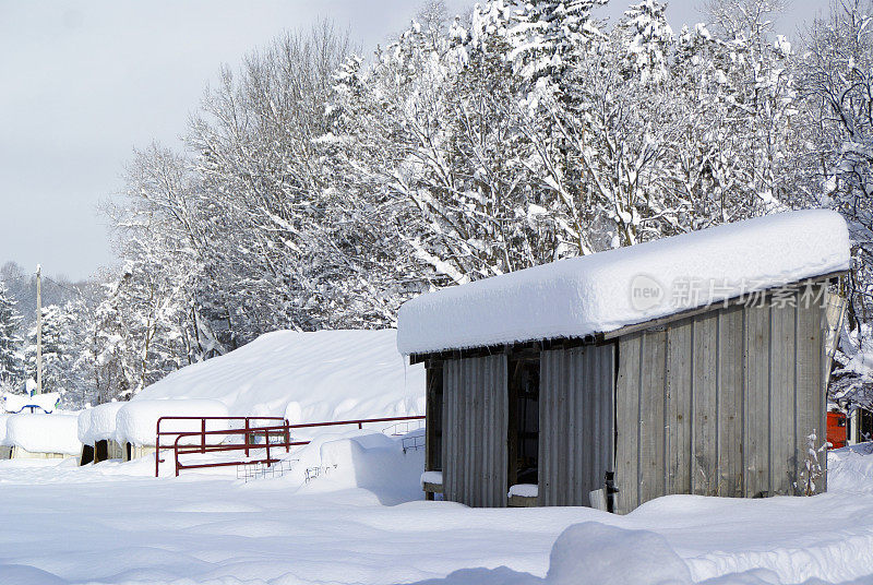 雪覆盖的谷仓庭院
