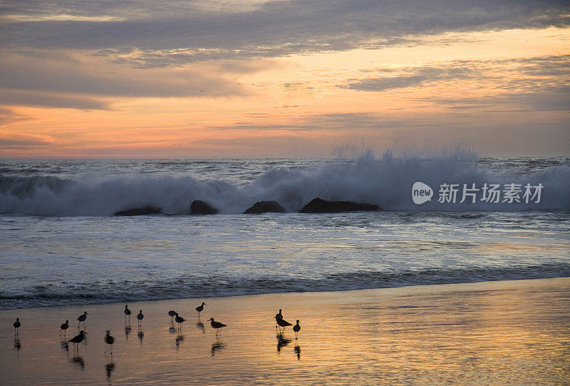 海滩日落时的高浪