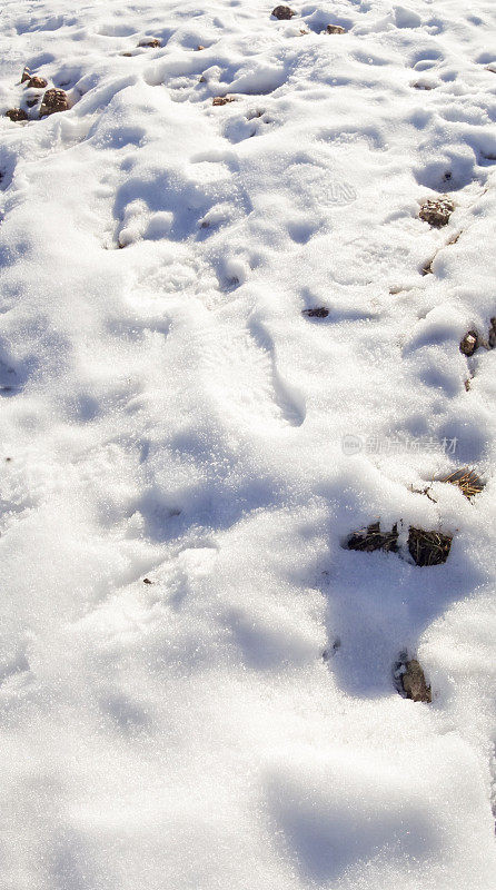 脚步在雪地