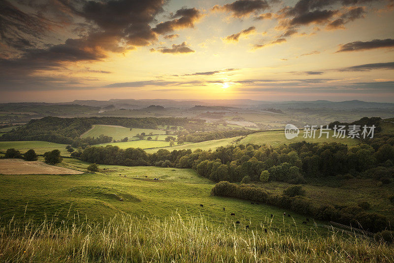 多塞特郡，英格兰乡村绿色山丘上的日落