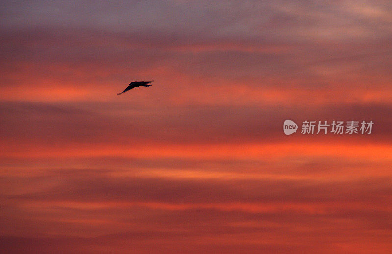 乡间清晨的景色