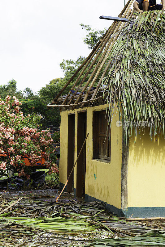 用棕榈叶做小屋屋顶。本土文化、委内瑞拉