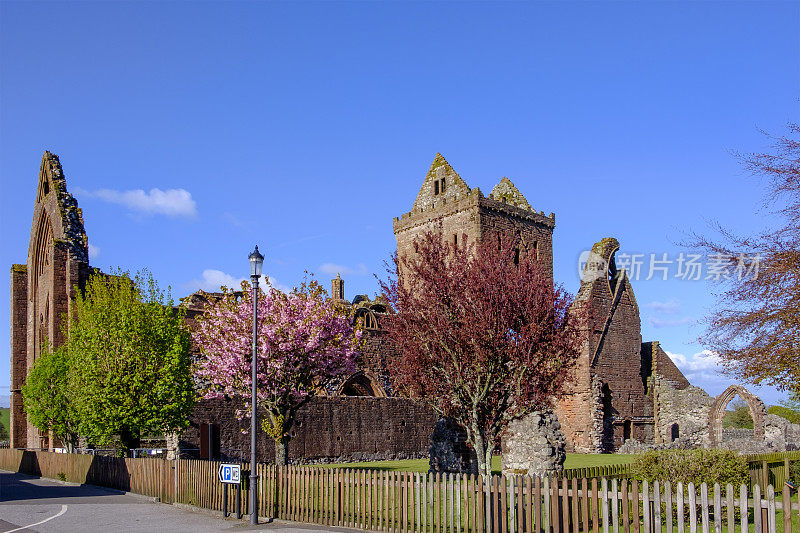 甜心修道院的废墟，可以追溯到十三世纪的苏格兰