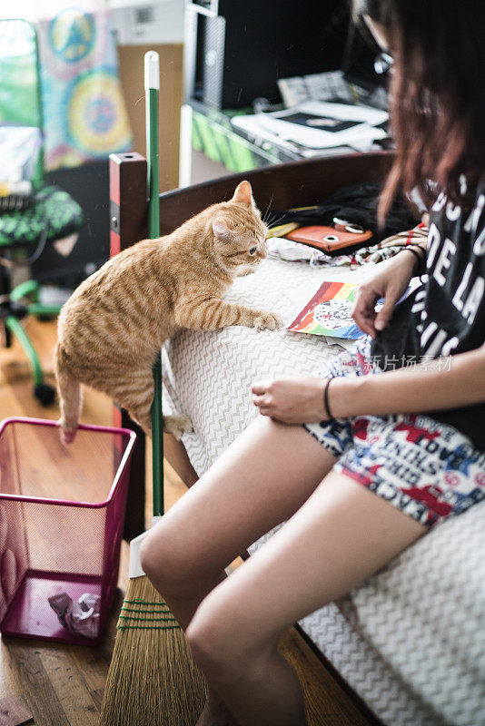 那只红猫在凌乱少年的房间里