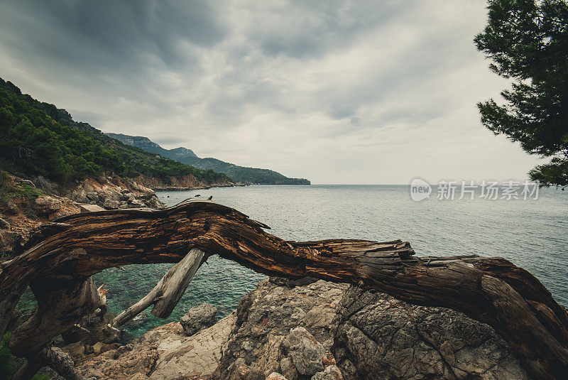 地中海沿岸的观点