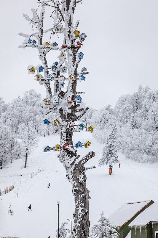 鸟屋在树上，以滑雪中心为背景