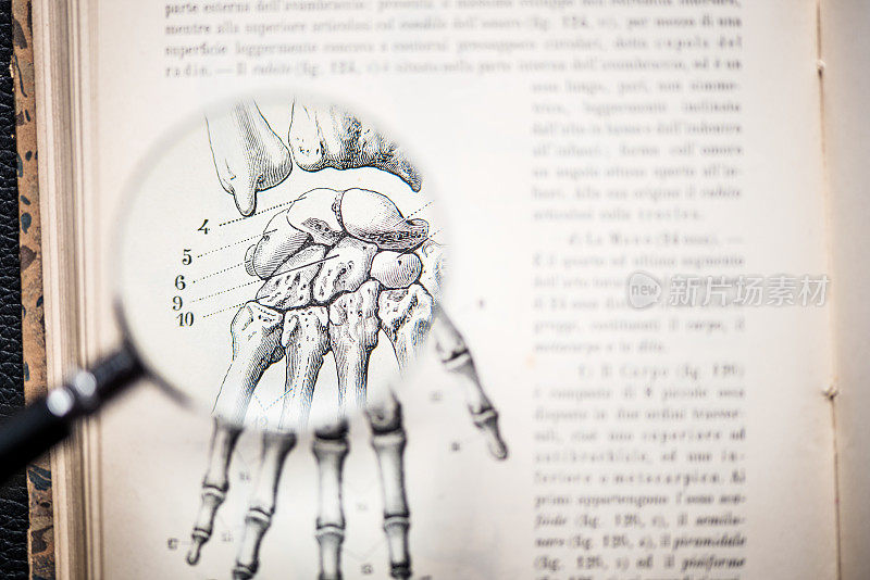 放大镜上的古董解剖学书:手骨