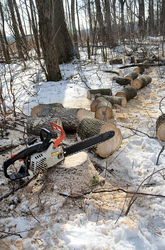 冬天的电锯和新砍的柴火