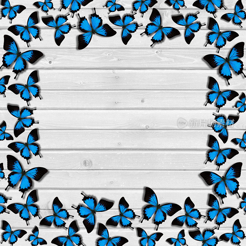木制背景上的蓝色蝴蝶