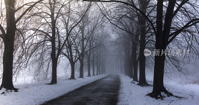 冬天的风景，白霜的树木。在寒冷阴天拍摄的波兰冬季景观