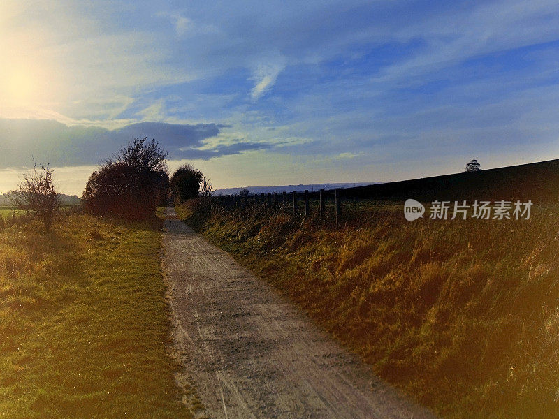 从小路上望去，穿过典型的英国乡村风景——绿树成荫的田园风光——在阳光明媚的日子里徒步行走风景郁郁葱葱